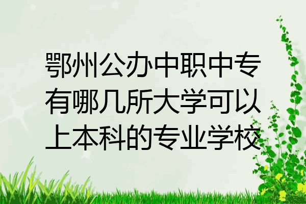 鄂州公办中职中专有哪几所大学可以上本科的专业学校