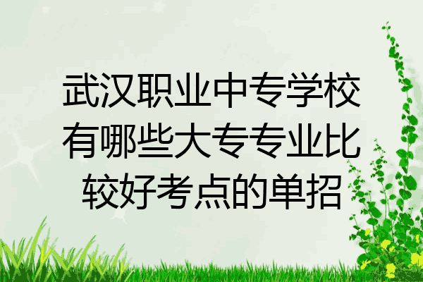 武汉职业中专学校有哪些大专专业比较好考点的单招