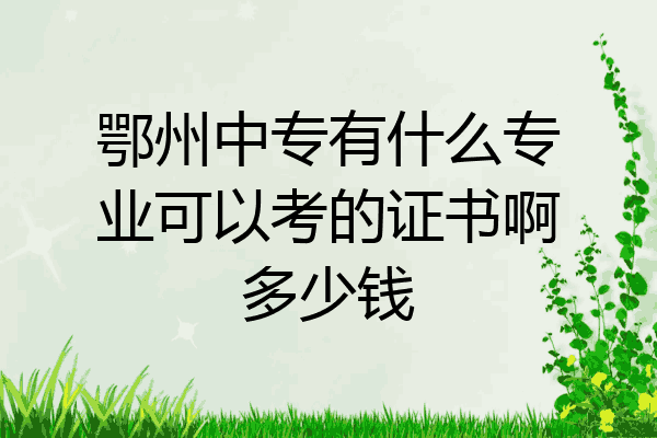 鄂州中专有什么专业可以考的证书啊多少钱