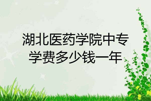 湖北医药学院中专学费多少钱一年