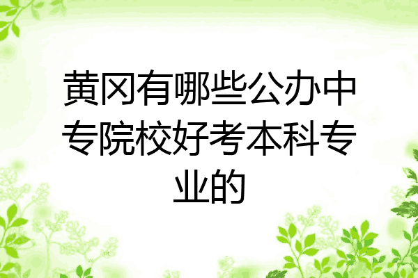 黄冈有哪些公办中专院校好考本科专业的