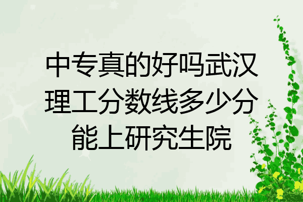 中专真的好吗武汉理工分数线多少分能上研究生院