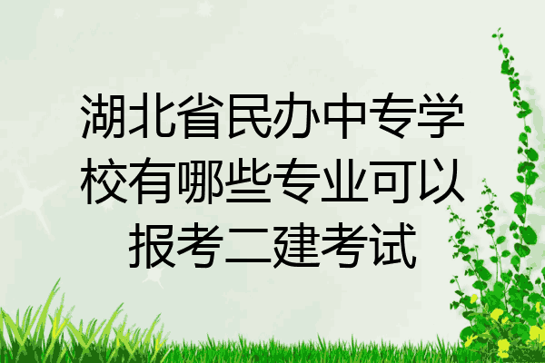 湖北省民办中专学校有哪些专业可以报考二建考试