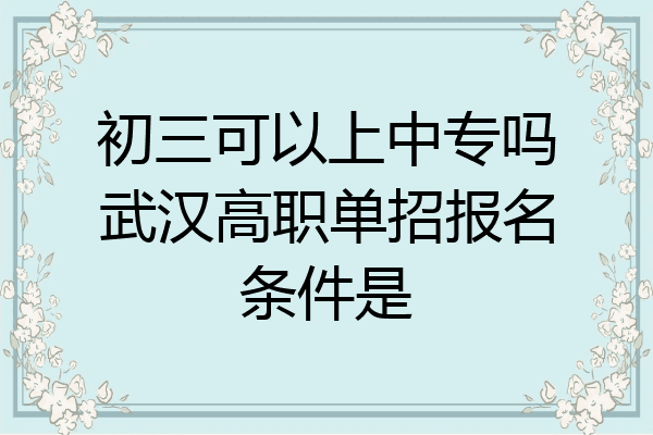 初三可以上中专吗武汉高职单招报名条件是