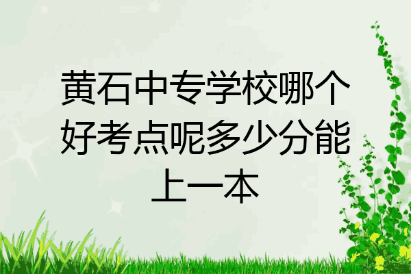 黄石中专学校哪个好考点呢多少分能上一本