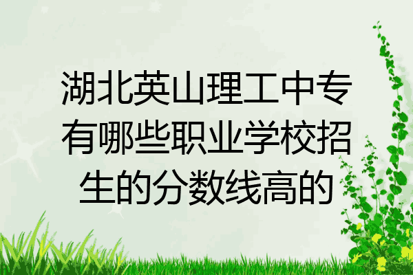 湖北英山理工中专有哪些职业学校招生的分数线高的