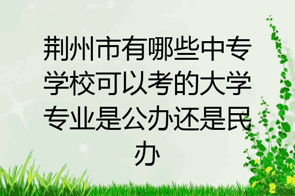 荆州市有哪些中专学校可以考的大学专业是公办还是民办