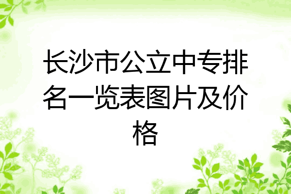 长沙市公立中专排名一览表图片及价格