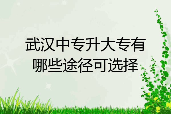 武汉中专升大专有哪些途径可选择