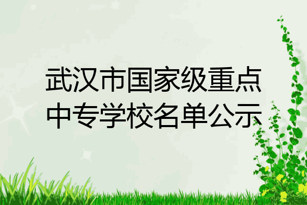 武汉市国家级重点中专学校名单公示