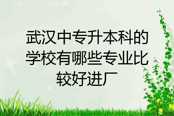 武汉中专升本科的学校有哪些专业比较好进厂
