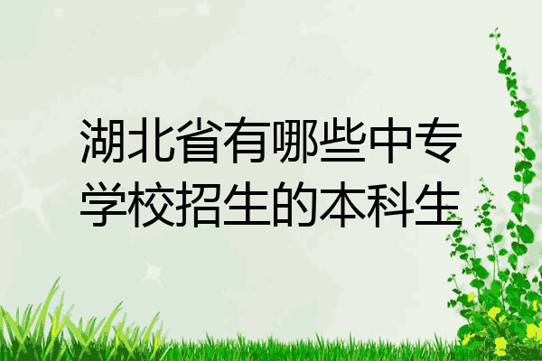 湖北省有哪些中专学校招生的本科生