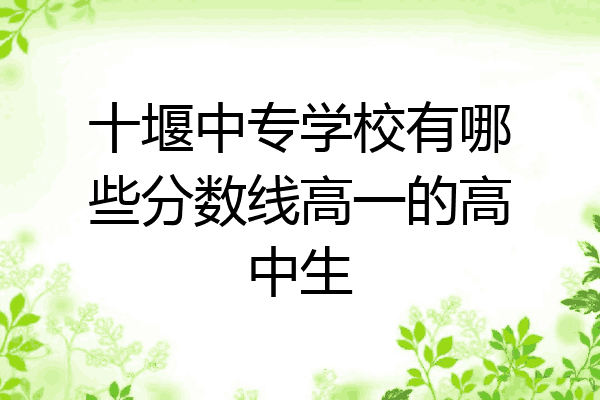 十堰中专学校有哪些分数线高一的高中生