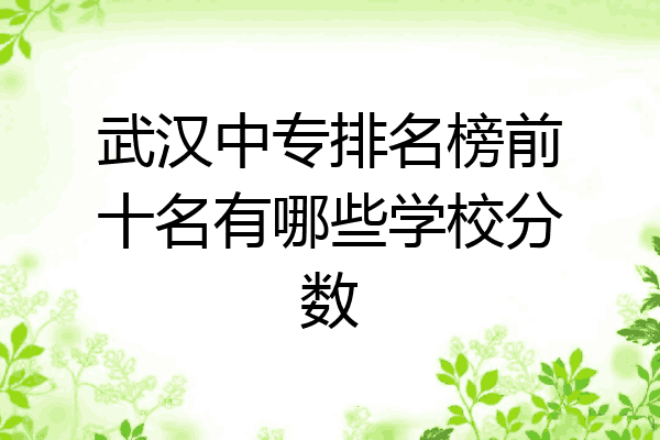 武汉中专排名榜前十名有哪些学校分数