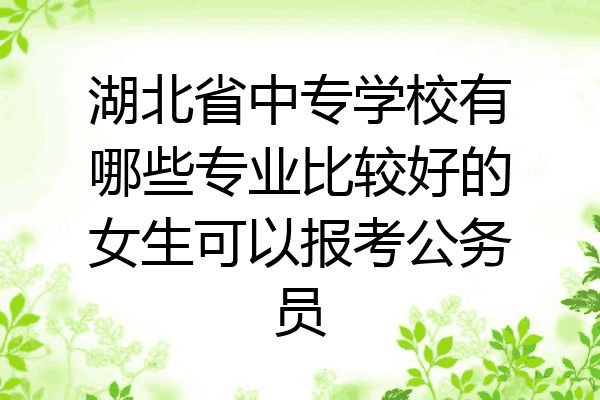 湖北省中专学校有哪些专业比较好的女生可以报考公务员