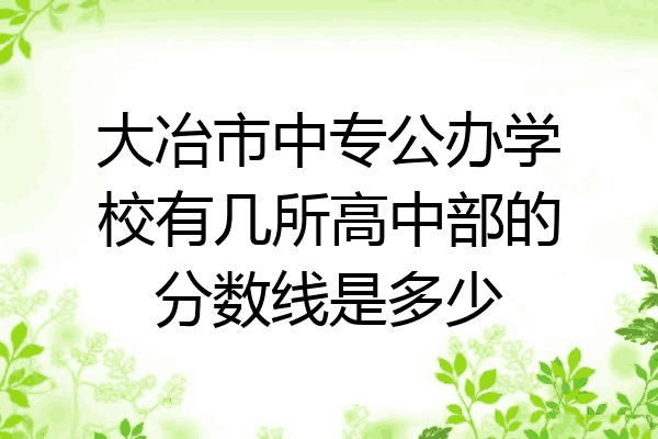 大冶市中专公办学校有几所高中部的分数线是多少