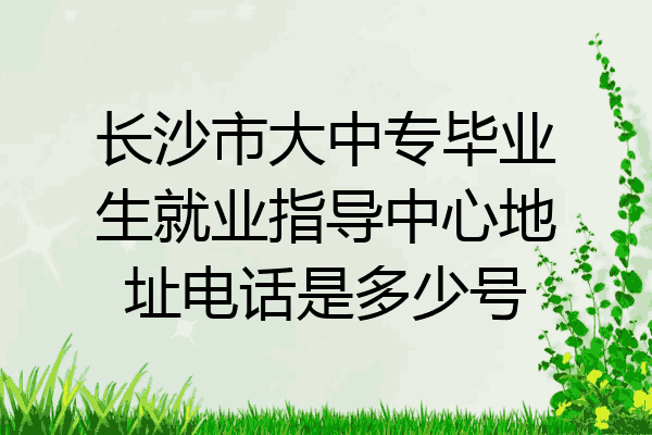 长沙市大中专毕业生就业指导中心地址电话是多少号