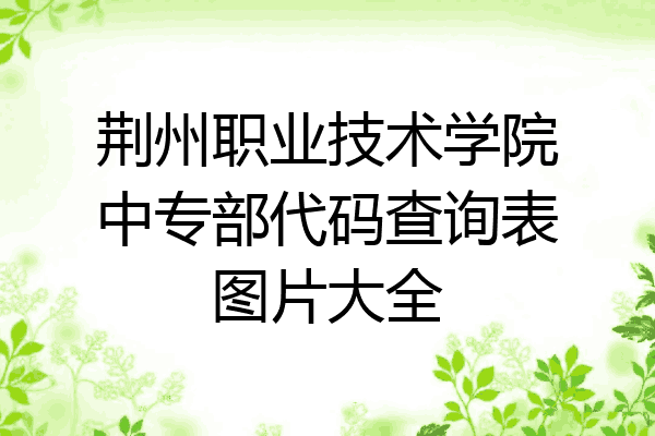 荆州职业技术学院中专部代码查询表图片大全