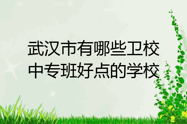 武汉市有哪些卫校中专班好点的学校