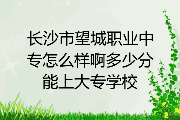 长沙市望城职业中专怎么样啊多少分能上大专学校