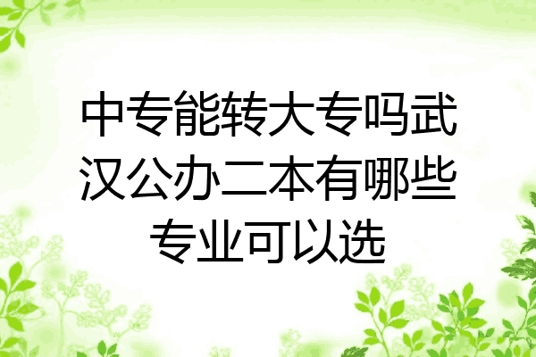 中专能转大专吗武汉公办二本有哪些专业可以选
