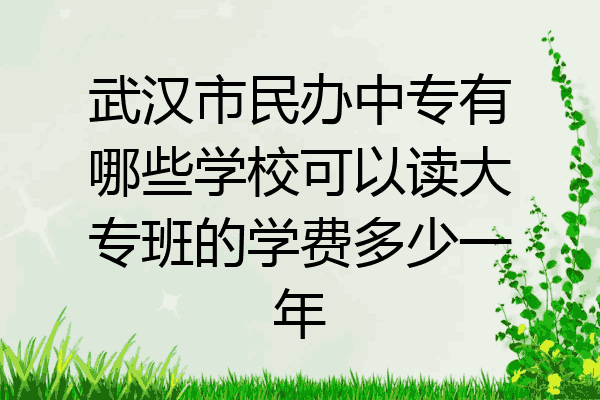 武汉市民办中专有哪些学校可以读大专班的学费多少一年