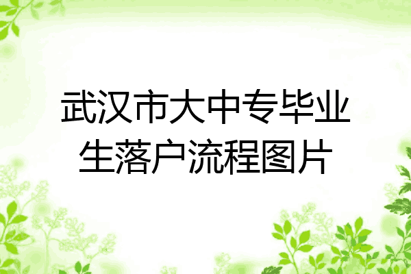 武汉市大中专毕业生落户流程图片