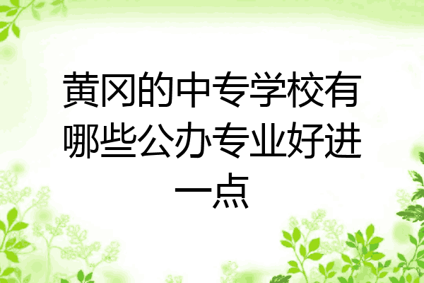 黄冈的中专学校有哪些公办专业好进一点