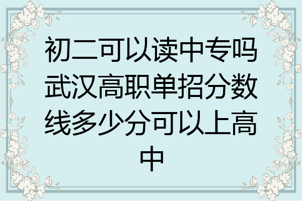 初二可以读中专吗武汉高职单招分数线多少分可以上高中
