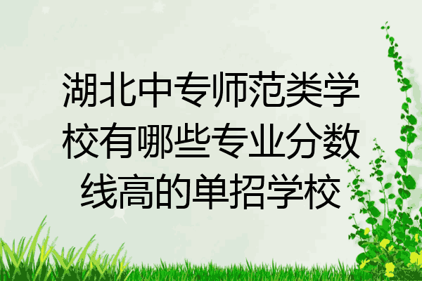 湖北中专师范类学校有哪些专业分数线高的单招学校