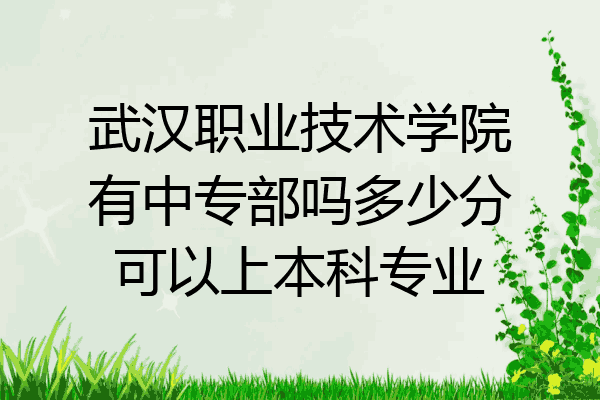 武汉职业技术学院有中专部吗多少分可以上本科专业