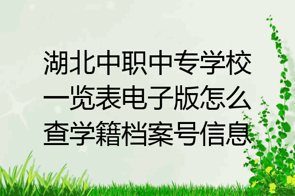 湖北中职中专学校一览表电子版怎么查学籍档案号信息