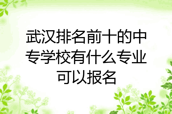 武汉排名前十的中专学校有什么专业可以报名