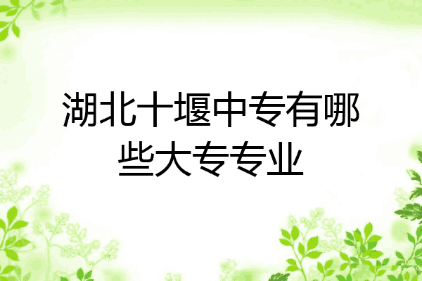 湖北十堰中专有哪些大专专业