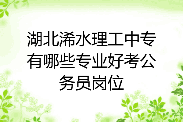湖北浠水理工中专有哪些专业好考公务员岗位
