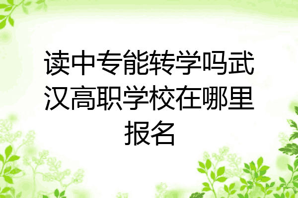 读中专能转学吗武汉高职学校在哪里报名