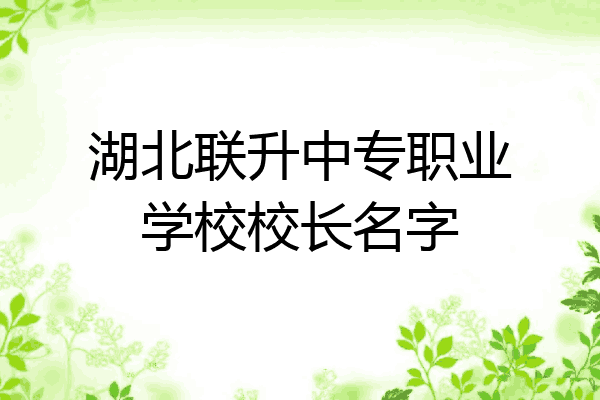 湖北联升中专职业学校校长名字
