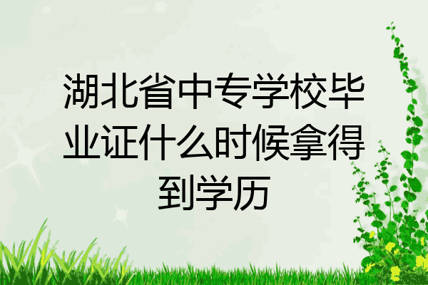 湖北省中专学校毕业证什么时候拿得到学历