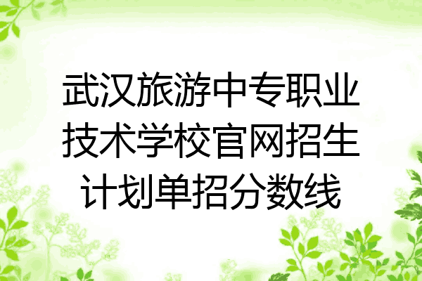 武汉旅游中专职业技术学校官网招生计划单招分数线