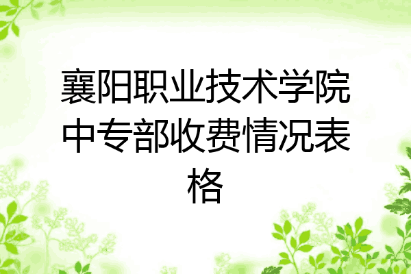 襄阳职业技术学院中专部收费情况表格