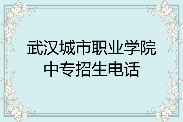 武汉城市职业学院中专招生电话