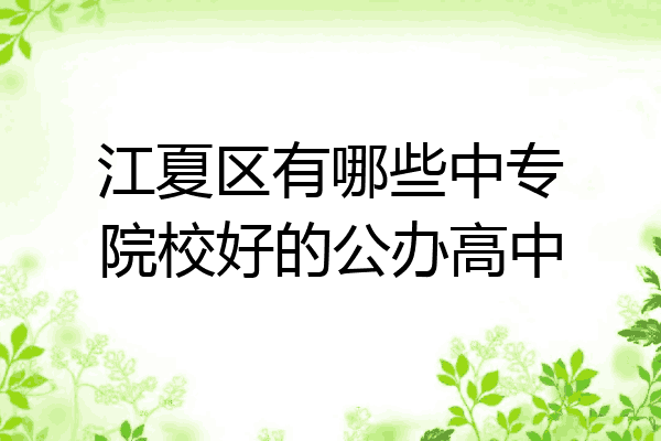 江夏区有哪些中专院校好的公办高中