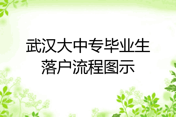 武汉大中专毕业生落户流程图示
