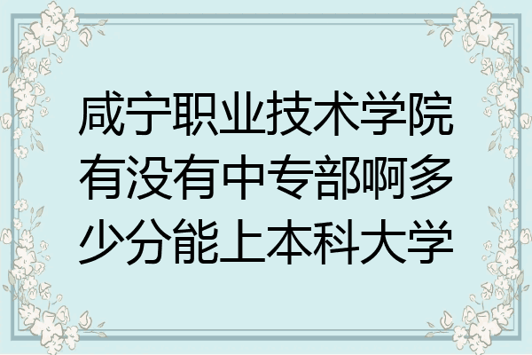 咸宁职业技术学院有没有中专部啊多少分能上本科大学