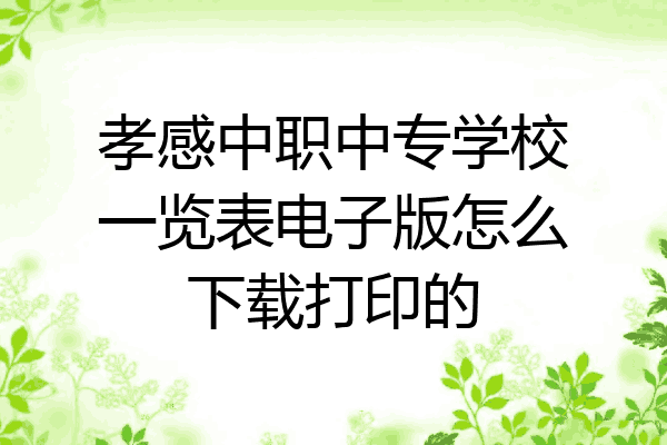 孝感中职中专学校一览表电子版怎么下载打印的