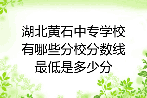 湖北黄石中专学校有哪些分校分数线最低是多少分