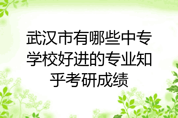 武汉市有哪些中专学校好进的专业知乎考研成绩