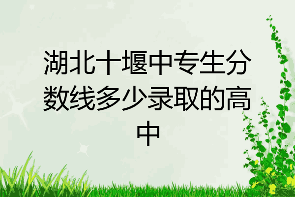 湖北十堰中专生分数线多少录取的高中