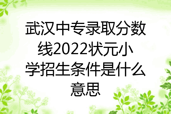武汉中专录取分数线2022状元小学招生条件是什么意思