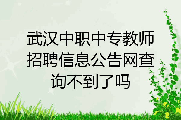 武汉中职中专教师招聘信息公告网查询不到了吗